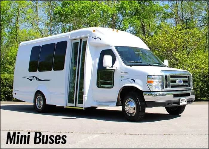 large buses for sale